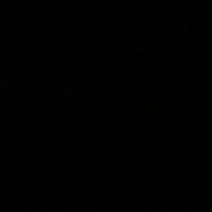 Meet your Posher, Jaden